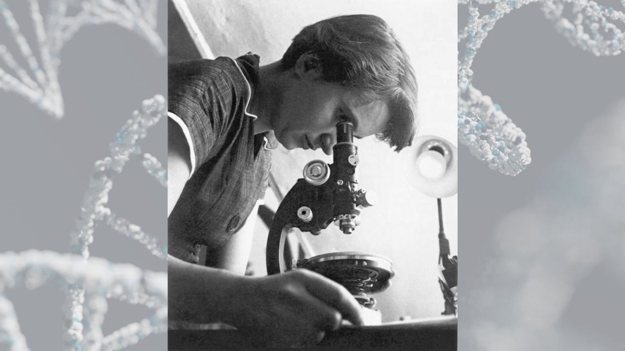 Rosalind Franklin looks through a microscope 1955.