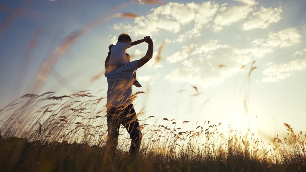 dad standing in field holds child on shoulders