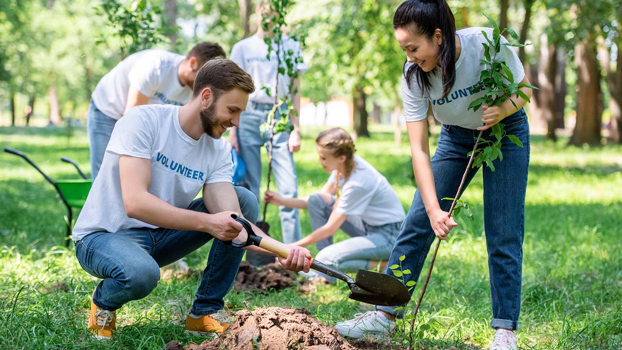 Volunteers working in community tree planting.