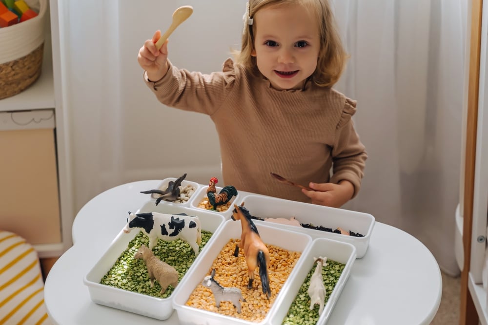 The Ultimate Data to Dried Bean Sensory Bins